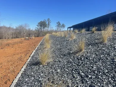 Image of a newly planted and freshly mulched bed of ornamental plants. 