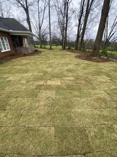 Image of a freshly laid sod lawn with a grid pattern visible, extending towards a tree line in the background. 